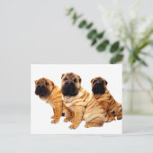 Kreuken zijn prachtig Briefkaart (Staand voorkant)