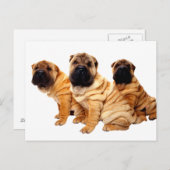 Kreuken zijn prachtig Briefkaart (Voorkant / Achterkant)