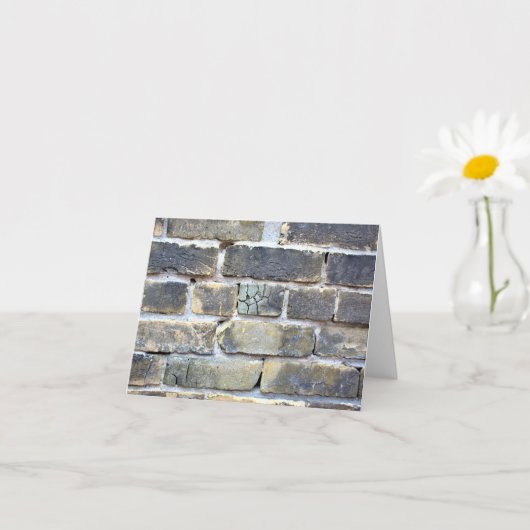 Kreukgeklets zout brick-muur kaart (Kleine Plant)