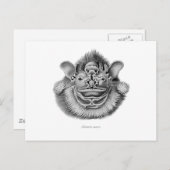 Kreukgesteente Briefkaart (Voorkant / Achterkant)