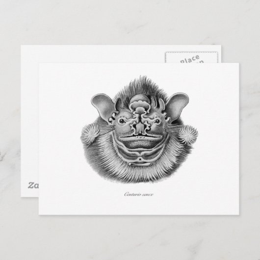 Kreukgesteente Briefkaart (Voorkant / Achterkant)