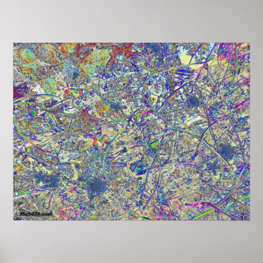 Kreukgras Poster (Voorkant)