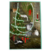 Kreukkatje Medium Cadeauzakje (Voorkant)