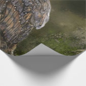 Kreukpapier voor het oppakken van bomen cadeaupapier (Hoek)