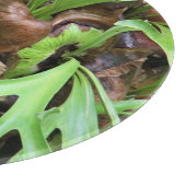 Kreukwerk - Staghorn Fern Snijplank (Hoek)