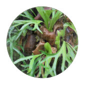 Kreukwerk - Staghorn Fern Snijplank (Voorkant)