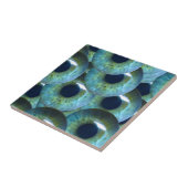 kreupele oogballen tegeltje (Zijkant)