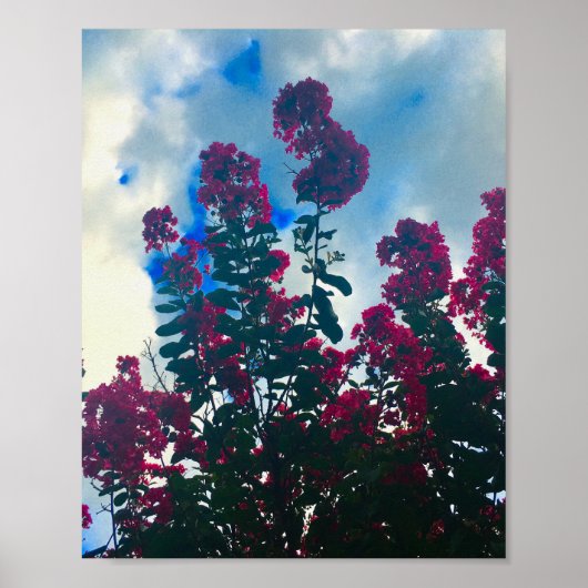 kreupelmyrtle op een bewolkte dag poster (Voorkant)