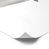 kreupelvis poster (Hoek)