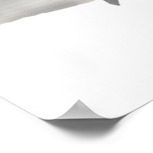 kreupelvis poster (Hoek)