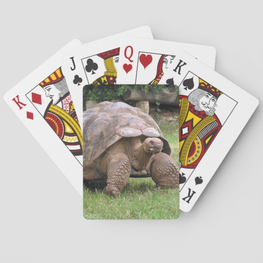 Kreuzenschildpad Pokerkaarten (Achterkant)