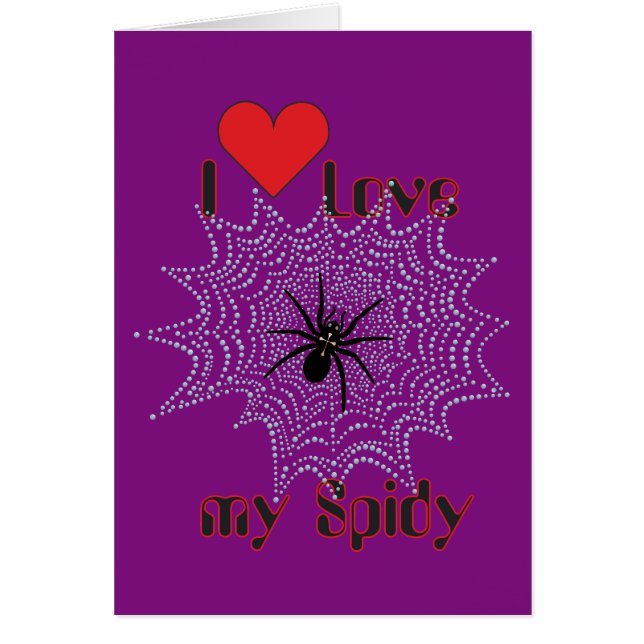 Kreuzspinne im Netz (Voorkant)