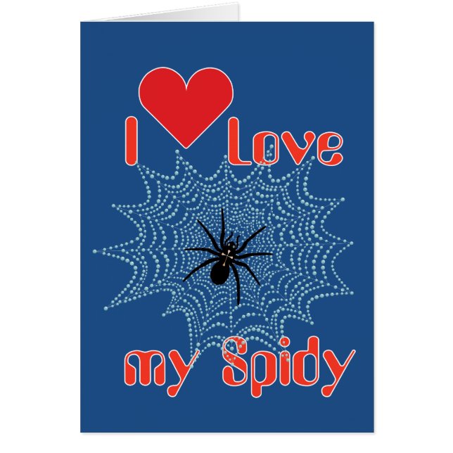 Kreuzspinne im Netz (Voorkant)