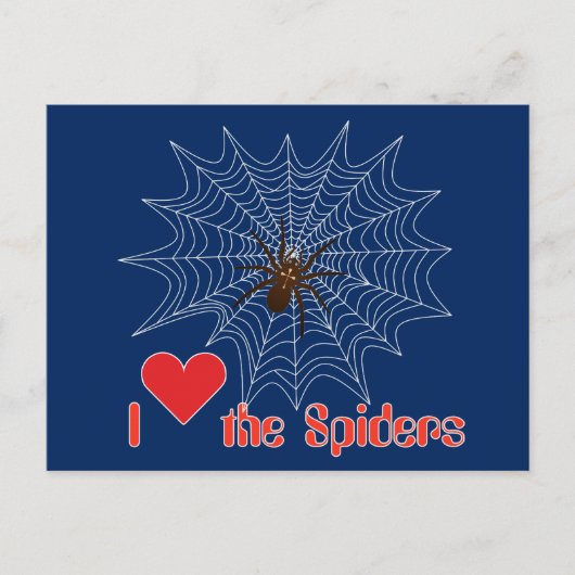 Kreuzspinne im Netz Briefkaart (Voorkant)