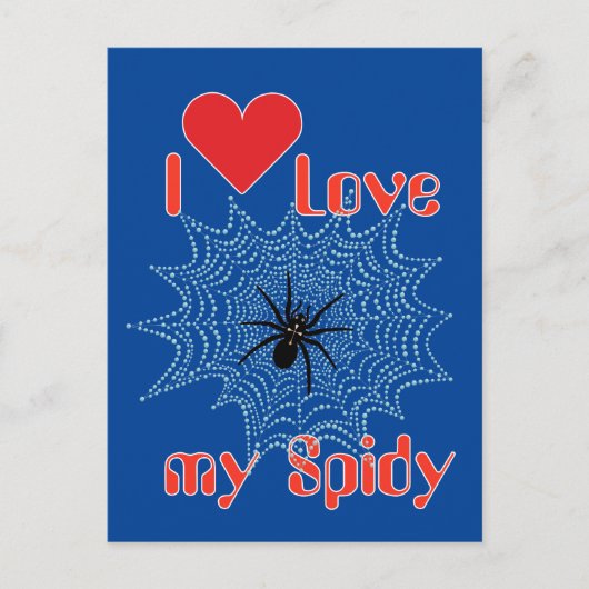 Kreuzspinne im Netz Briefkaart (Voorkant)