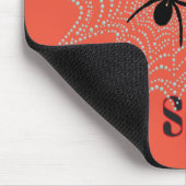 Kreuzspinne im Netz Muismat (Hoek)