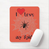 Kreuzspinne im Netz Muismat (Met muis)