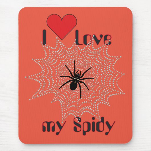 Kreuzspinne im Netz Muismat (Voorkant)