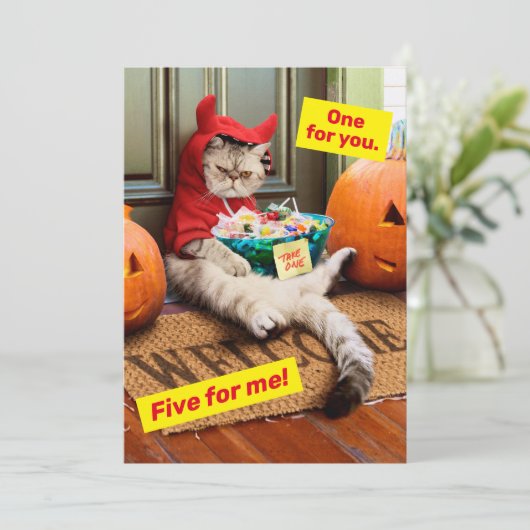 Kribbige Duivel Kat Kaart (Staand voorkant)