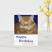 Kribbige Tabby Kat Verjaardagskaart - Grappig Kaart (Gele Bloem)