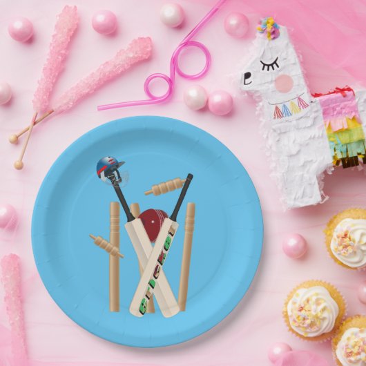 Krickettickets, helm, vleermuizen en kogelvrije ve papieren bordje (Feest)