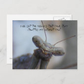 Krijg altijd het gevoel dat je spullen… briefkaart (Voorkant / Achterkant)