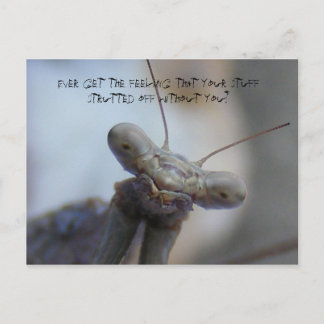 Krijg altijd het gevoel dat je spullen… briefkaart