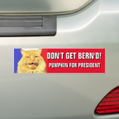 Krijg Bern'd 2020 pompoen niet voor President Bumpersticker (Op auto)