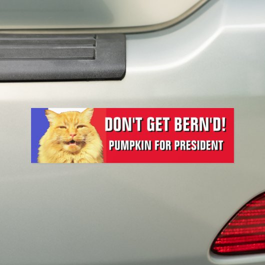 Krijg Bern'd 2020 pompoen niet voor President Bumpersticker (Op auto)