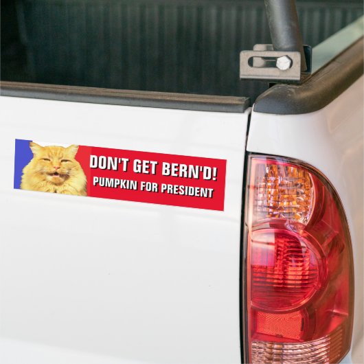 Krijg Bern'd 2020 pompoen niet voor President Bumpersticker (Op Truck)