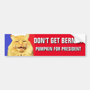 Krijg Bern'd 2020 pompoen niet voor President Bumpersticker