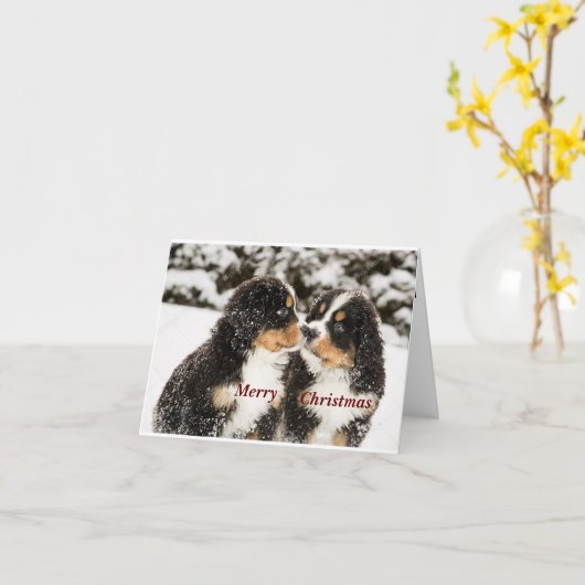 *KRIJG DE MISTELTOE OPGEHANGEN* WE KUNNEN NEUZEN W KAART (Gele Bloem)