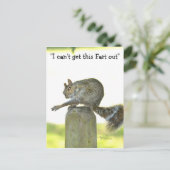 Krijg deze scheet uit Funny Squirrel Briefkaart (Staand voorkant)