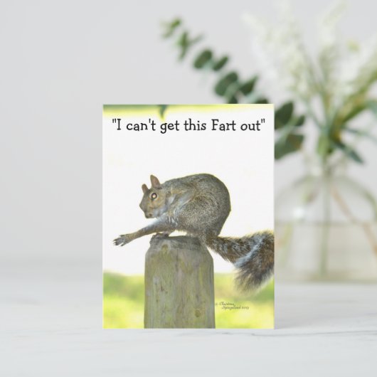 Krijg deze scheet uit Funny Squirrel Briefkaart (Staand voorkant)