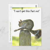 Krijg deze scheet uit Funny Squirrel Briefkaart (Voorkant / Achterkant)