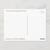 Krijg deze scheet uit Funny Squirrel Briefkaart (Achterkant)