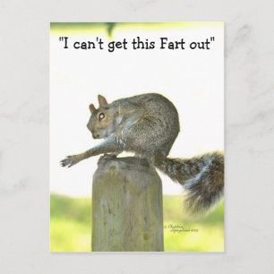 Krijg deze scheet uit Funny Squirrel Briefkaart