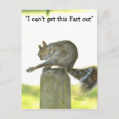 Krijg deze scheet uit Funny Squirrel Briefkaart (Voorkant)