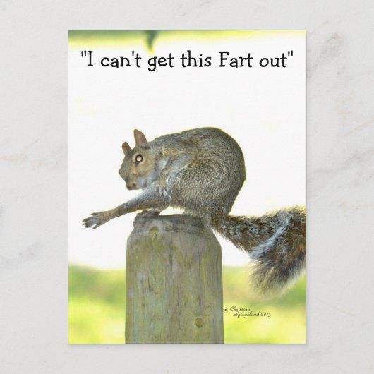 Krijg deze scheet uit Funny Squirrel Briefkaart (Voorkant)