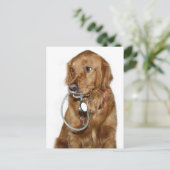 Krijg een goede golden retriever briefkaart (Staand voorkant)
