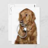 Krijg een goede golden retriever briefkaart (Voorkant / Achterkant)
