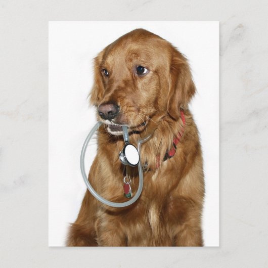 Krijg een goede golden retriever briefkaart (Voorkant)