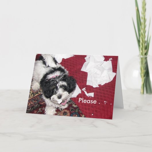 Krijg een goede puppy. kaart (Voorkant)