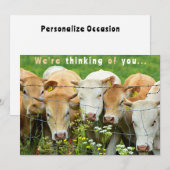 Krijg goed Binnenkort Ranch Boerderij Cattle Count Feestdagenkaart (Voorkant / Achterkant)