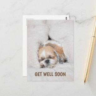 Krijg goed binnenkort schattige puppy dog shihtzu  briefkaart
