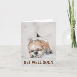Krijg goed binnenkort schattige puppy dog shihtzu kaart