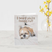 Krijg goed binnenkort schattige puppy dog shihtzu  kaart (Gele Bloem)