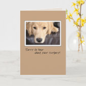 Krijg goed chirurgie hond, Golden Retriever Kaart (Gele Bloem)