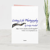 Krijg goed Flamingo Kaart (Achterkant)