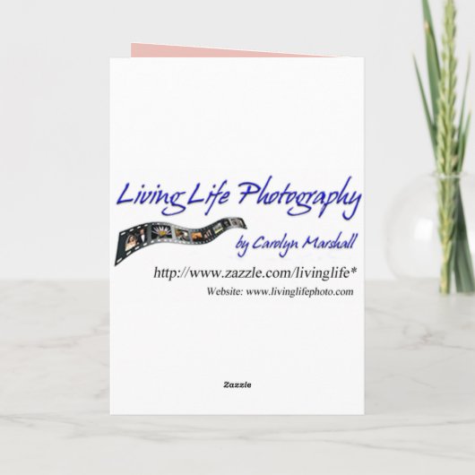 Krijg goed Flamingo Kaart (Achterkant)